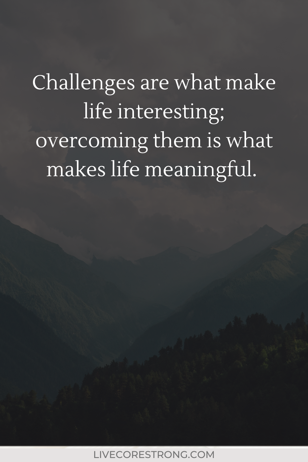 45 Best Challenge Quotes: Positively Overcoming And Facing Life ...